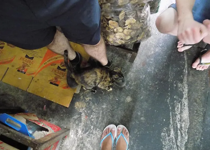 The Oasis Hostel (Adults Only)